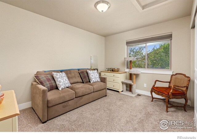 5254 Rock Hill St, Timnath, CO 80547