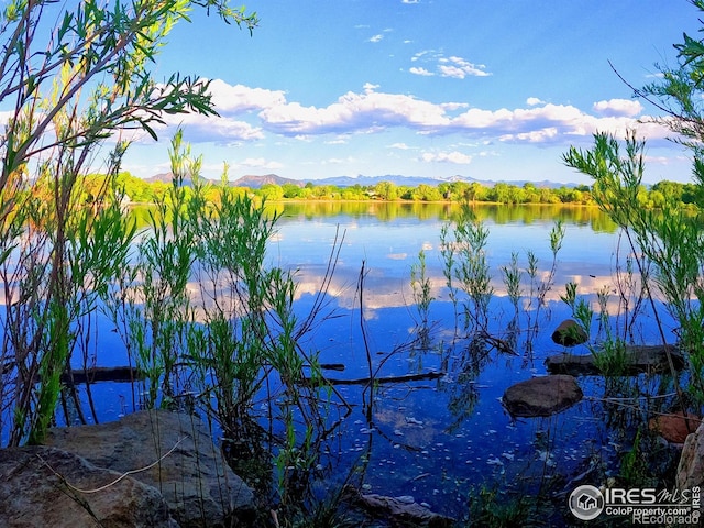 1993 S Fork Dr, Lafayette, CO 80026 - water view with a mountainous background