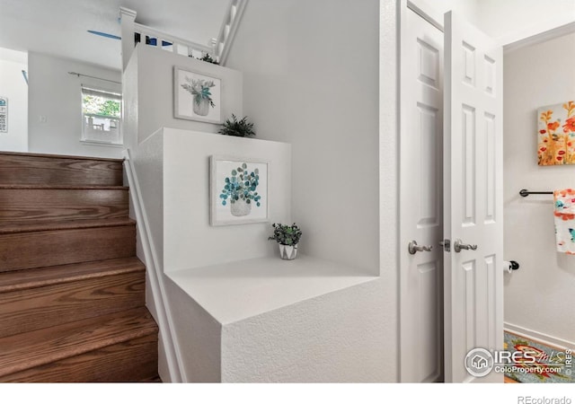 1993 S Fork Dr, Lafayette, CO 80026 - view of stairs