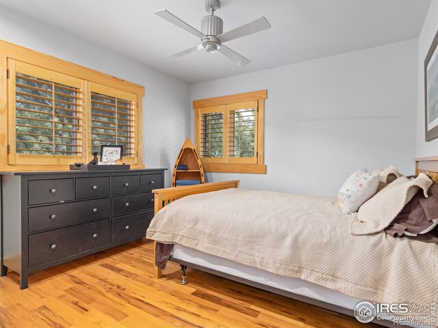 1692 Prospect Estates Dr, Estes Park, CO 80517 - photo 22