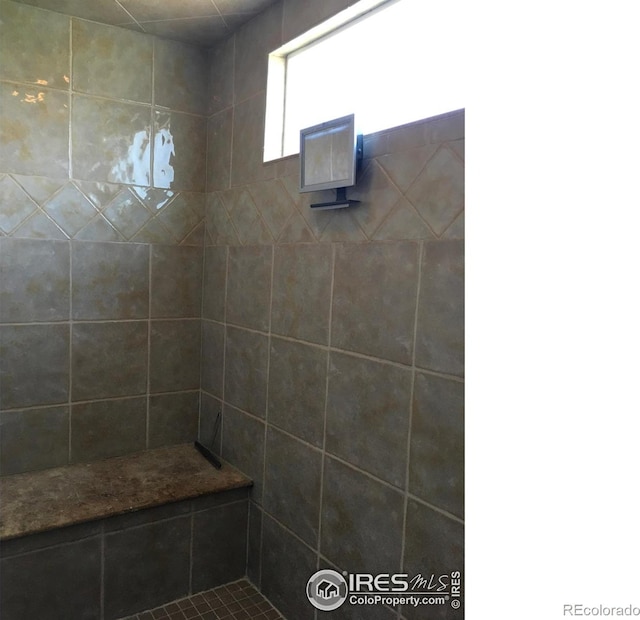 1402 Westfield Dr, Fort Collins, CO 80526 - bathroom with tiled shower