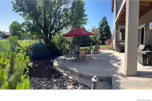 1402 Westfield Dr, Fort Collins, CO 80526 - view of patio / terrace