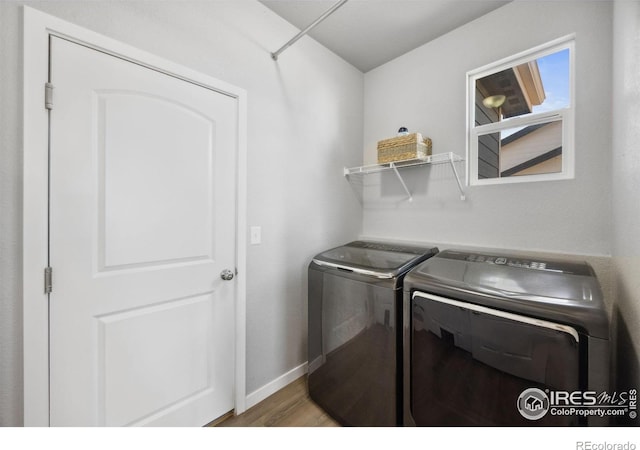 660 Cimarron Trl, Ault, CO 80610 - laundry area with washing machine and clothes dryer and wood finished floors