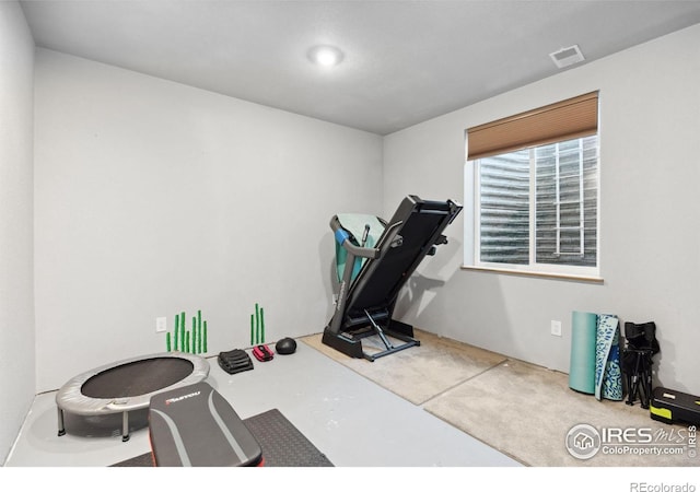 660 Cimarron Trl, Ault, CO 80610 - view of workout room
