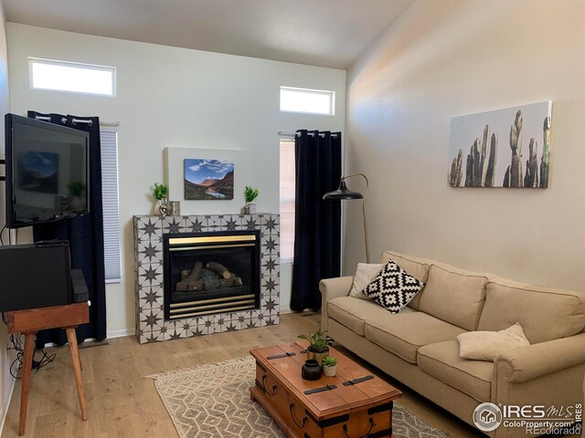 723 2nd St, Windsor, CO 80550 - photo 5