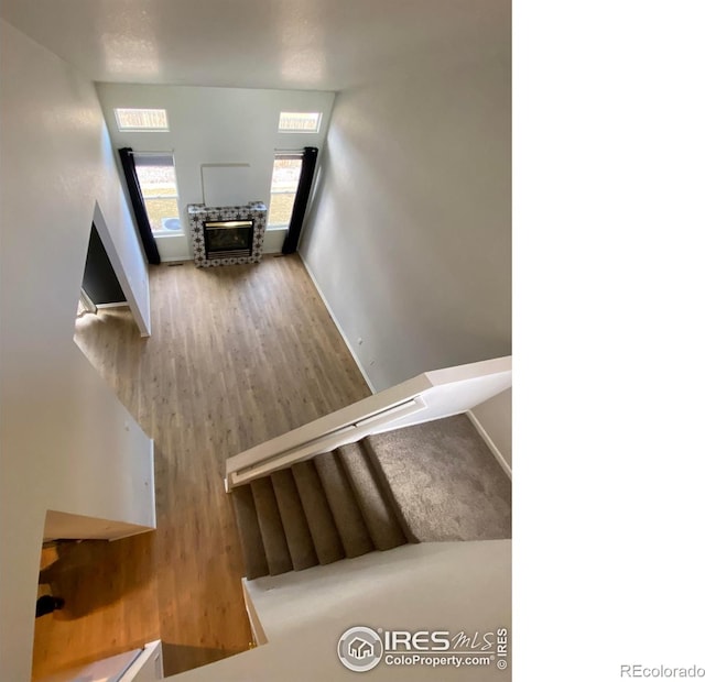 723 2nd St, Windsor, CO 80550 - photo 18