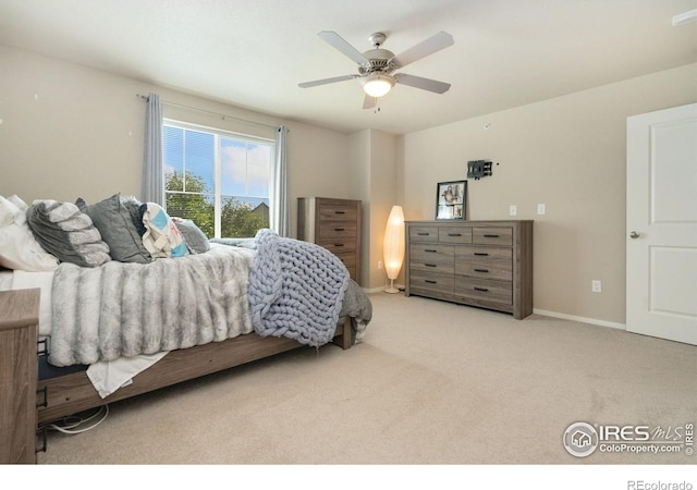 3502 Big Ben Dr Unit C, Fort Collins, CO 80526 - photo 11