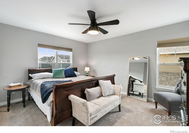 2615 Rock Creek Dr, Fort Collins, CO 80528