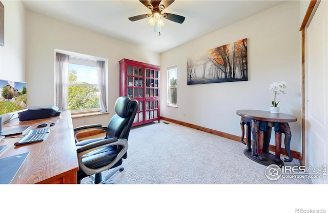 3570 Mill Iron Ct, Milliken, CO 80543 - photo 21