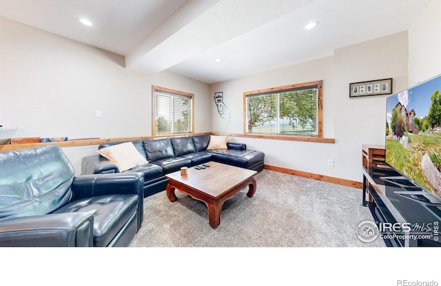 3570 Mill Iron Ct, Milliken, CO 80543 - photo 26