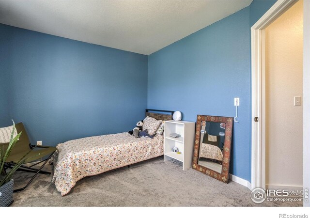 533 Horizon Pl, Dacono, CO 80514 - photo 9