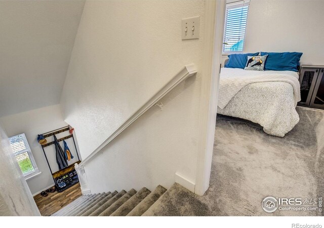 533 Horizon Pl, Dacono, CO 80514 - photo 18