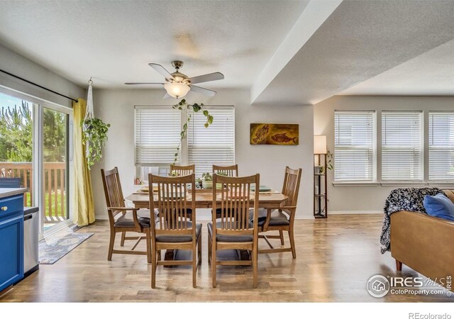 533 Horizon Pl, Dacono, CO 80514 - photo 19