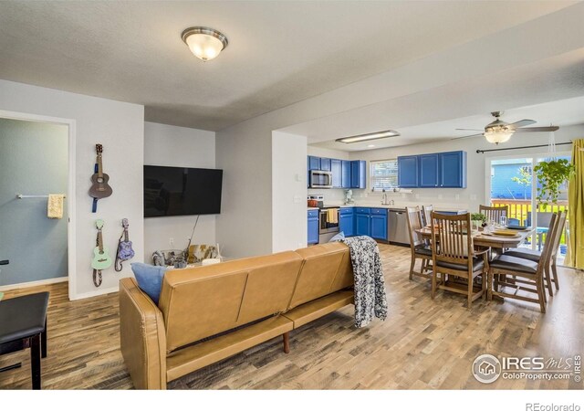 533 Horizon Pl, Dacono, CO 80514 - photo 20