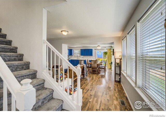 533 Horizon Pl, Dacono, CO 80514 - photo 22
