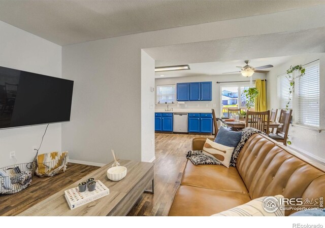 533 Horizon Pl, Dacono, CO 80514 - photo 25