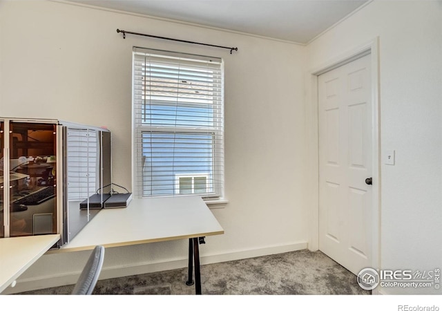 533 Horizon Pl, Dacono, CO 80514 - photo 31