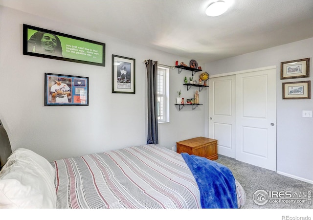 8321 E 33rd Ave, Denver, CO 80238 - photo 27