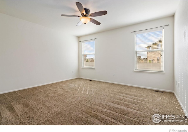 1317 84th Ave, Greeley, CO 80634 - photo 12