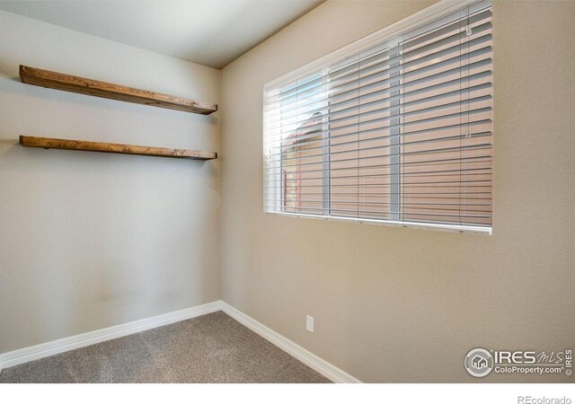 2227 Sherwood Forest Ct, Fort Collins, CO 80524 - photo 22