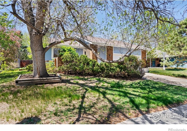 3319 Pepperwood Ln, Fort Collins, CO 80525 - photo 3