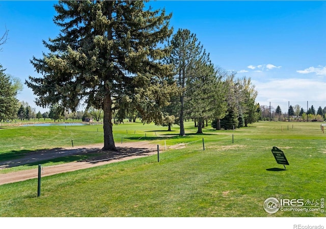 3319 Pepperwood Ln, Fort Collins, CO 80525 - photo 37