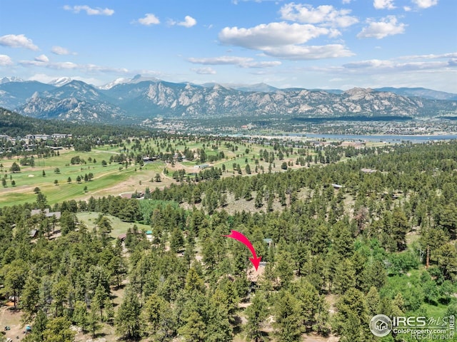 1721 Windham Ct, Estes Park, CO 80517 - photo 4
