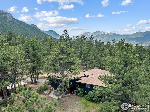 1721 Windham Ct, Estes Park, CO 80517 - photo 5