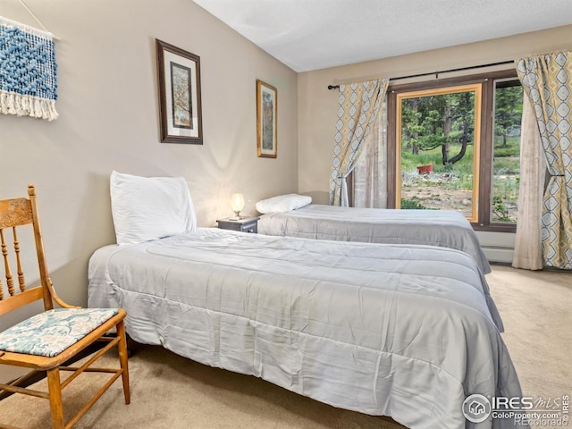 1721 Windham Ct, Estes Park, CO 80517 - photo 26
