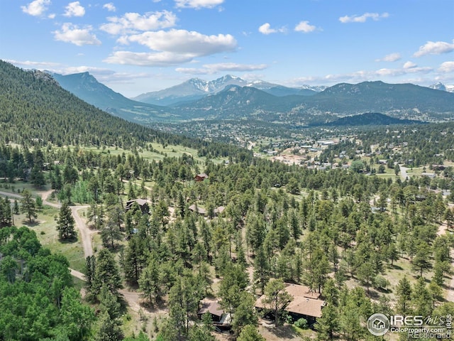 1721 Windham Ct, Estes Park, CO 80517 - photo 37