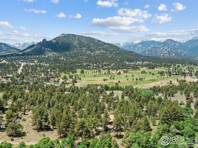 1721 Windham Ct, Estes Park, CO 80517 - photo 38