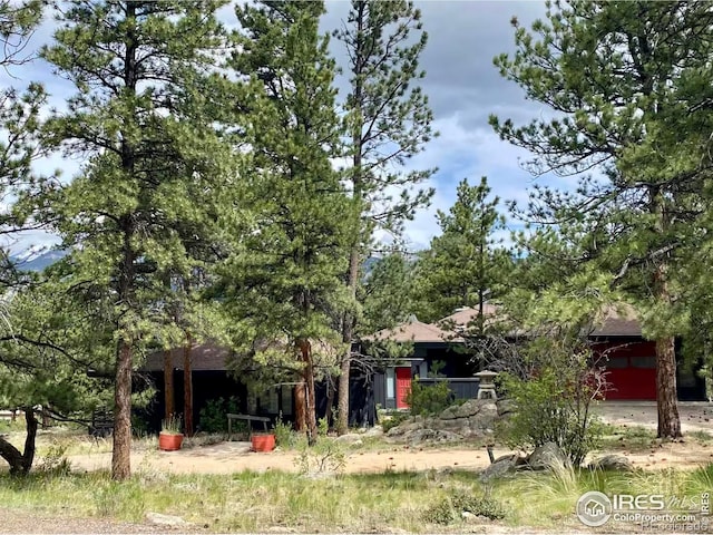 1721 Windham Ct, Estes Park, CO 80517 - photo 39