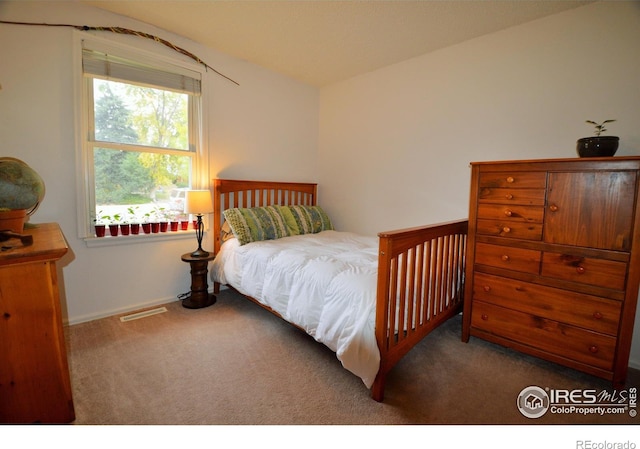 3814 Columbia Dr, Longmont, CO 80503 - photo 6