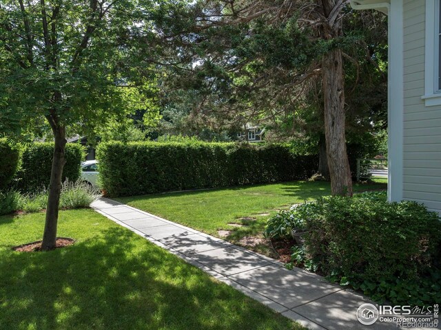 2949 10th St, Boulder, CO 80304 - photo 25