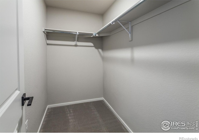 1600 Alfalfa Ln, Johnstown, CO 80534 - photo 27
