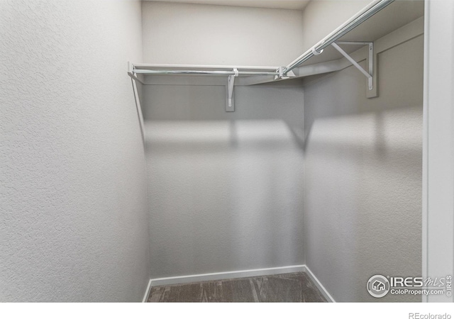 1600 Alfalfa Ln, Johnstown, CO 80534 - photo 37