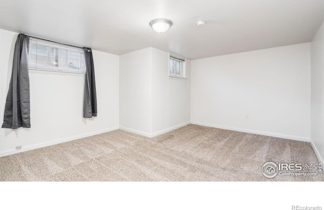 1029 Cranford Pl, Greeley, CO 80631 - photo 26