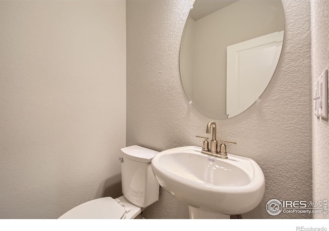 2290 Walbridge Rd, Fort Collins, CO 80524 - bathroom featuring a textured wall and a sink