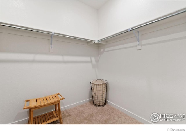 9873 Ceylon St, Commerce City, CO 80022 - spacious closet with carpet