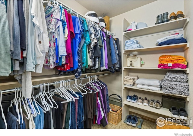 1613 Alpine Ave, Berthoud, CO 80513 - view of spacious closet