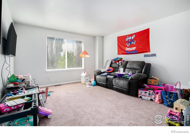 1201 102nd Ave, Greeley, CO 80634 - living room with carpet