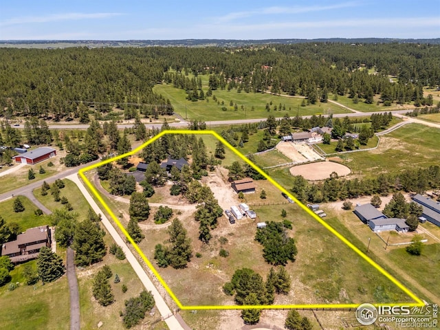 8987 Village Pines Cir, Franktown, CO 80116 - photo 35