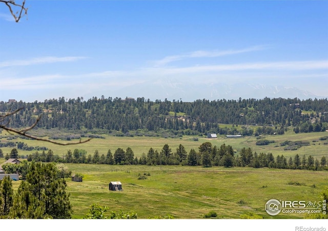 8987 Village Pines Cir, Franktown, CO 80116 - photo 36