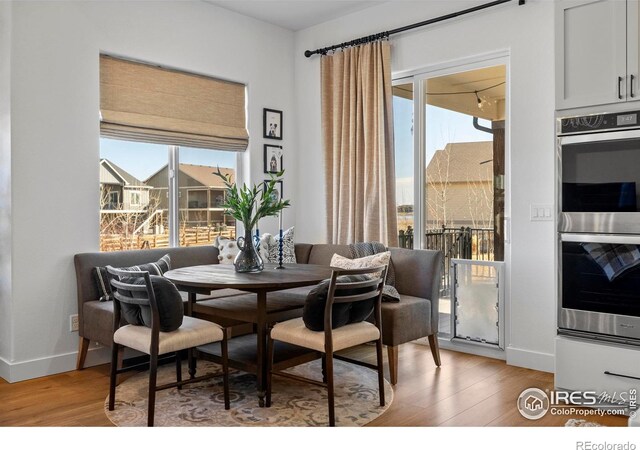 4407 Lake Nakoni Ct, Loveland, CO 80538 - photo 10