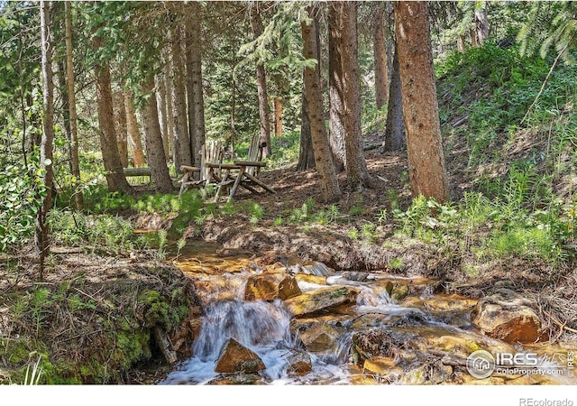 3727 Gamble Gulch Rd, Black Hawk, CO 80422 - view of tree filled area