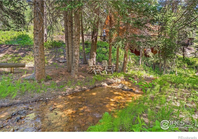 3727 Gamble Gulch Rd, Black Hawk, CO 80422 - view of yard
