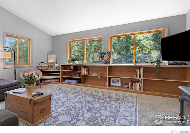 3727 Gamble Gulch Rd, Black Hawk, CO 80422 - carpeted living room featuring lofted ceiling and healthy amount of natural light