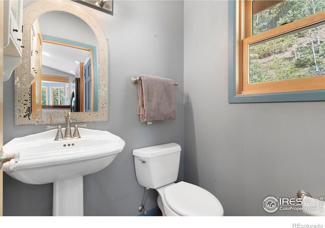 3727 Gamble Gulch Rd, Black Hawk, CO 80422 - half bath with lofted ceiling and plenty of natural light