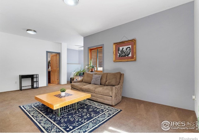 3727 Gamble Gulch Rd, Black Hawk, CO 80422 - view of carpeted living room