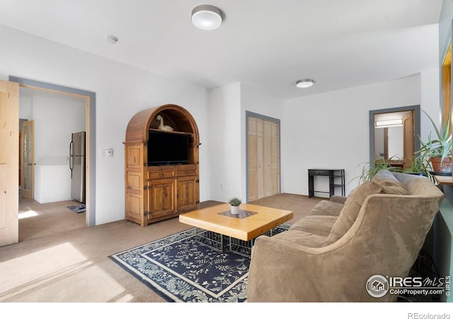 3727 Gamble Gulch Rd, Black Hawk, CO 80422 - living area with light colored carpet